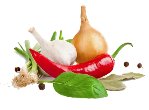 Vegetarian